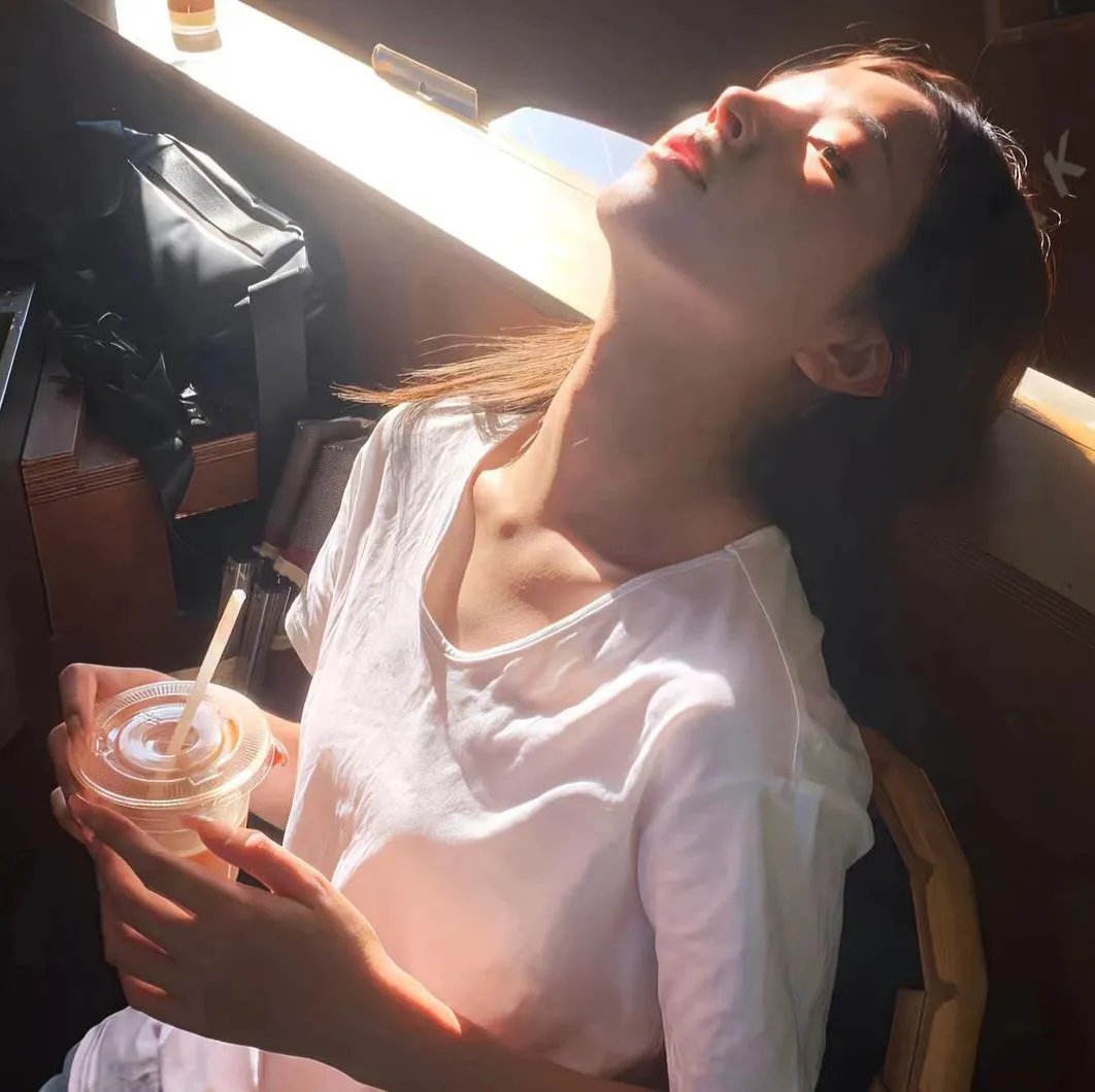 哈莱姆的郁金香